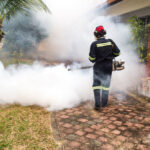 Cómo Elegir el Mejor Servicio de Control de Plagas